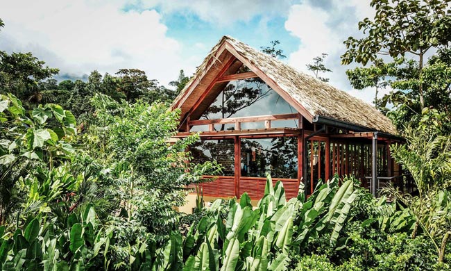 An Ecolodge in Arenal - Amor Arenal Hotel