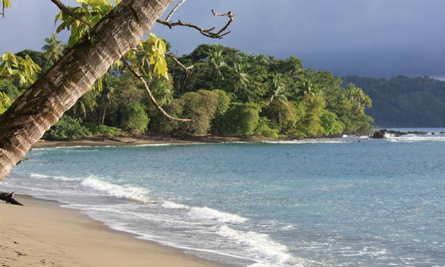 Copa del Arbol - Osa Peninsula Luxury Eco Lodge