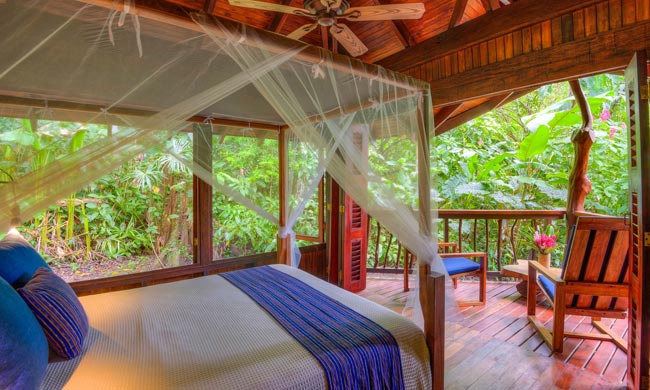 Nicuesa Rainforest Lodge - Eco-Lodge Hotel in Costa Rica