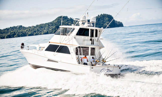 marlin-mania-01.jpg