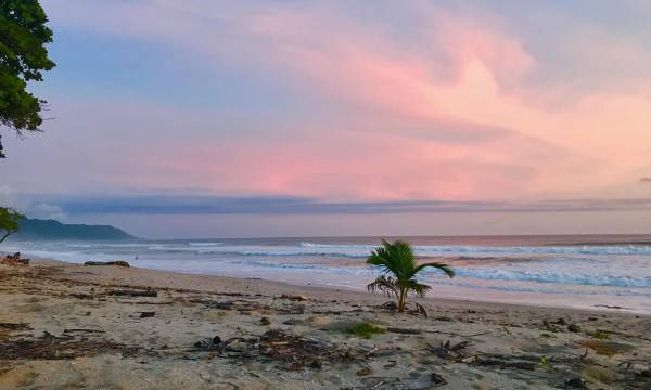 The Best Of Santa Teresa Costa Rica Local Experts Share Their Tips