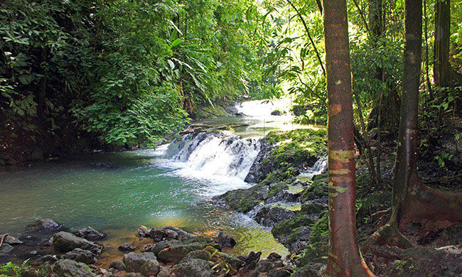 The Real Jurassic Park in Costa Rica