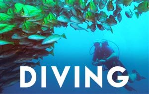 Scuba Diving Vacations in Costa Rica