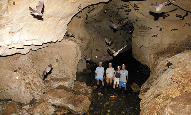 Venado Caverns     Costa Rica Vacations