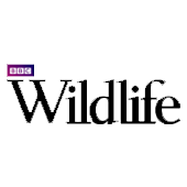 Wildlife Magazine