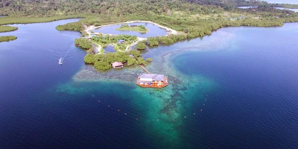 Sweet Bocas Panama Sweet Bocas Panama